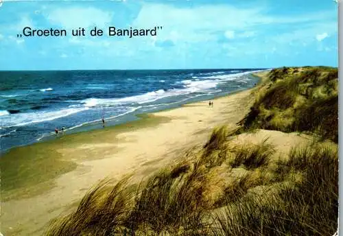 51015 - Niederlande - Banjaard , Strand , Panorama - gelaufen 1984