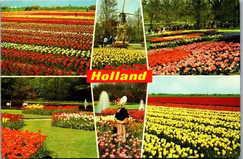 51023 - Niederlande - Blumen , Mehrbildkarte - gelaufen 1975