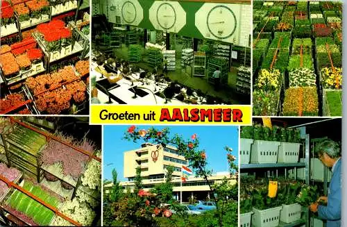 51029 - Niederlande - Aalsmeer , Mehrbildkarte - gelaufen 1989