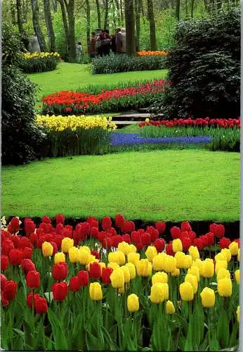 51151 - Niederlande - Lisse , Keukenhof - gelaufen 1993