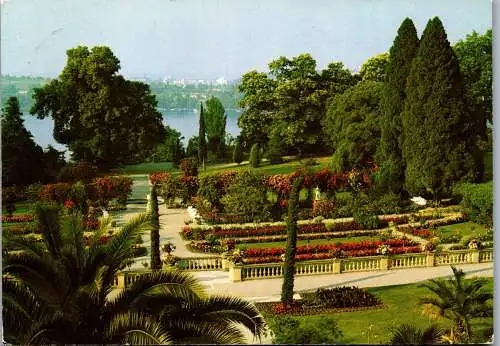 51558 - Deutschland - Insel Mainau , im Bodensee , Rosengarten - gelaufen