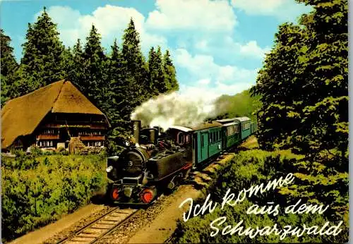 51627 - Deutschland - Schwarzwald , Eisenbahn - nicht gelaufen