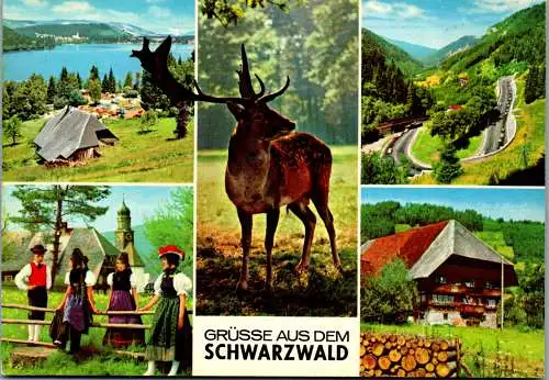 51628 - Deutschland - Schwarzwald , Mehrbildkarte - nicht gelaufen