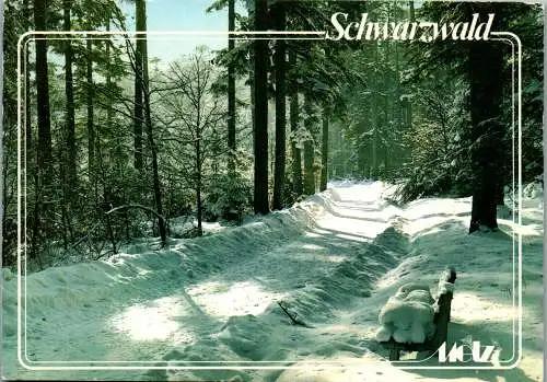 51631 - Deutschland - Schwarzwald , Motiv im Winter , Winterlandschaft - gelaufen 1991