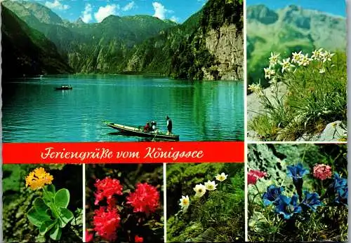 51669 - Deutschland - Königssee , Mehrbildkarte - gelaufen