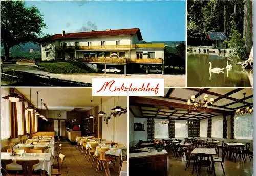 51949 - Niederösterreich - Kirchbach am Wechsel , Molzbachhof , Inh. Toni Pichler - gelaufen