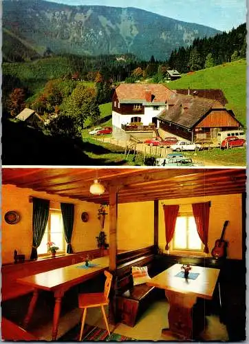 51951 - Oberösterreich - Kleinreifling , Bodenwies , Gasthaus und Pension Niglalm - gelaufen 1970