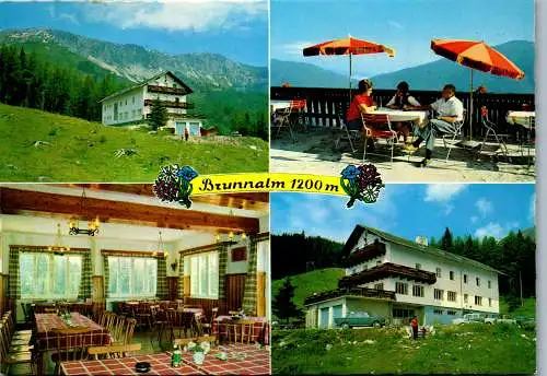 52025 - Steiermark - Groß Veitsch , Brunnalm , Gasthof Scheikl , Hohe Veitsch - nicht gelaufen