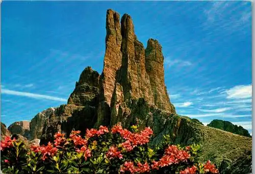 52049 - Italien - Dolomiti , Catinaccio , Torri del Vajolet , Rosengarten - gelaufen 1976