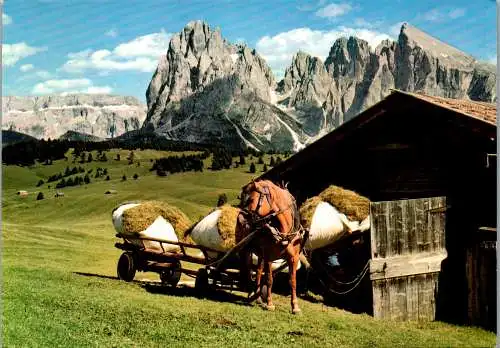 52138 - Italien - Dolomiti , Seiser Alm , Alpe di Siusi , Pferdewagen , Heutransport - gelaufen 1984