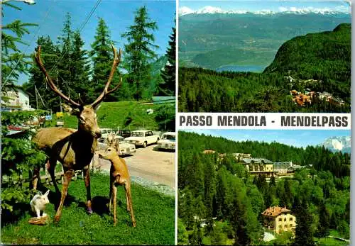 52245 - Italien - Bozen , Passo della Mendola , Mendelpass - gelaufen 1974