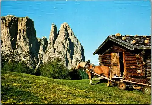 52275 - Italien - Dolomiti , Alpe di Siusi , Sciliar , Seiseralm und Slern , Pferdewagen - gelaufen 1978