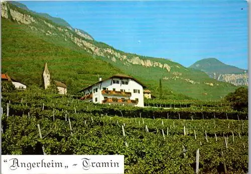 52304 - Italien - Tramin , Angerheim , Fam. Calliari - nicht gelaufen