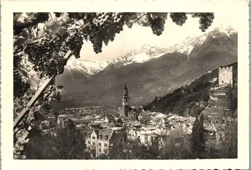 52311 - Italien - Meran , Traubenreife in Meran , Autunno , Panorama - nicht gelaufen