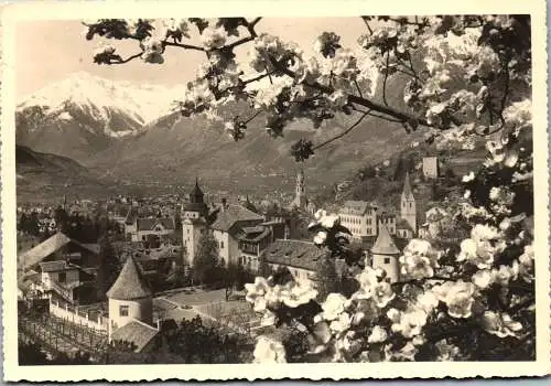 52312 - Italien - Meran , Primavera , Panorama - gelaufen 1960