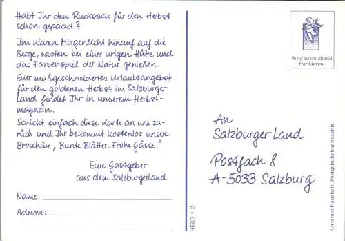 52429 - Salzburg - Hochkönig , Motiv Lärchenwald - nicht gelaufen