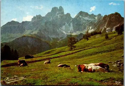 52544 - Salzburg - Filzmoos , Sulzenalm mit Bischofsmütze - gelaufen 1984