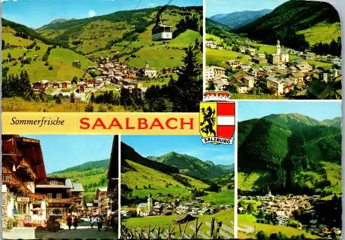 52751 - Salzburg - Saalbach , im Sommer , Mehrbildkarte - gelaufen 1968