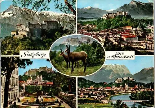 52793 - Salzburg - Salzburg , Mehrbildkarte - gelaufen 1961