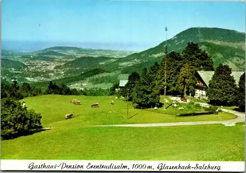 52969 - Salzburg - Elsbethen , Glasenbach , Gasthaus Pension Erentrudisalm , R. u, F. Moser - gelaufen 1983