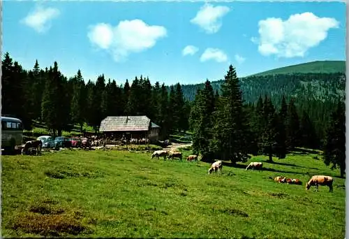 53072 - Steiermark - Weinebene , Göslerhütte , Rosa Nestler , Koralpe - gelaufen 1973