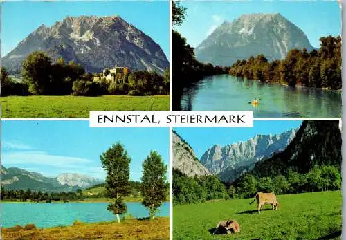 53080 - Steiermark - Ennstal , Mehrbildkarte - gelaufen 1969