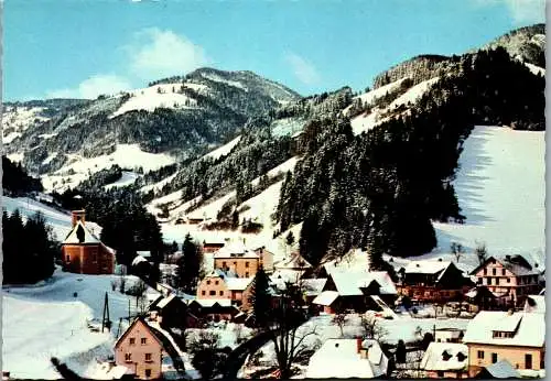 53094 - Steiermark - Gasen , Panorama - gelaufen 1980