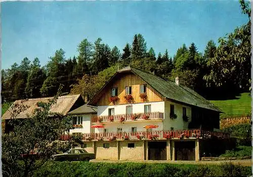 53102 - Steiermark - Krieglach , Malleisten , Pension Tannhof , Fam. Schrittwieser - gelaufen 1987