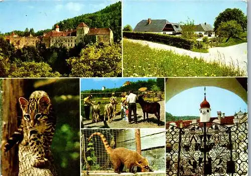 53142 - Steiermark - Herberstein , Tierpark am Stubenbergsee , Buschenschank Marienhof , Schloß - gel. 1980