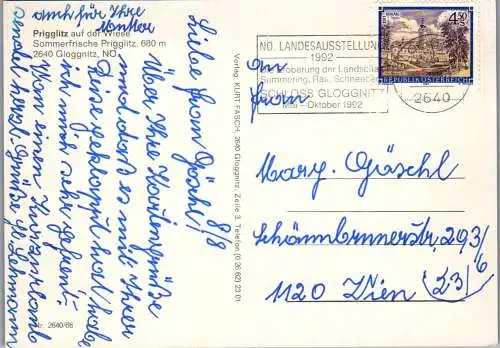 53161 - Niederösterreich - Prigglitz , Gloggnitz , Panorama - gelaufen 1992