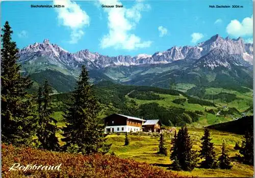 53173 - Salzburg - Radstadt , Radstätterhütte am Roßbrand , Bischofsmütze , Gosauer Stein , Hoher Dachstein - 1991