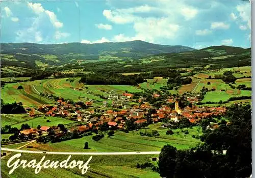53217 - Steiermark - Grafendorf , Panorama - gelaufen 1976