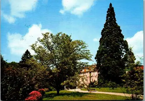 53242 - Steiermark - Bad Gleichenberg , Kurpark mit Wellingtonia - gelaufen 1983