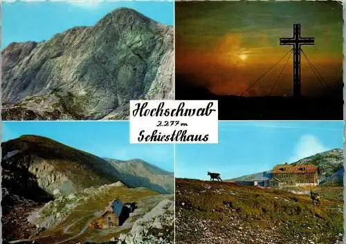 53252 - Steiermark - Hochschwab , Schiestlhaus , Mehrbildkarte - gelaufen 1970