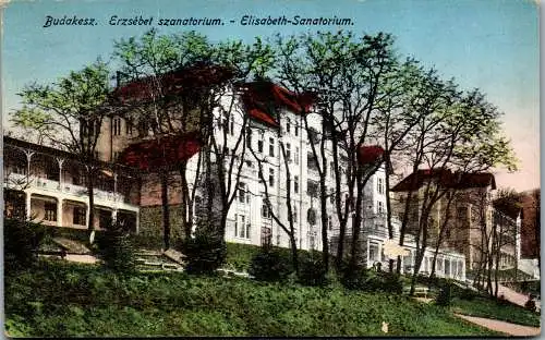 53500 - Ungarn - Budakeszi , Elisabeth Sanatorium - gelaufen 1920