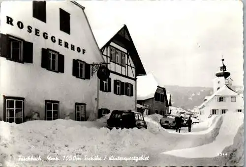 53586 - Steiermark - Fischbach , Roseggerhof , Winter - nicht gelaufen