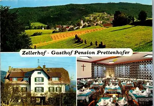 53591 - Steiermark - Fischbach , Zellerhof m Gasthof Prettenhofer Fritz - gelaufen 1982