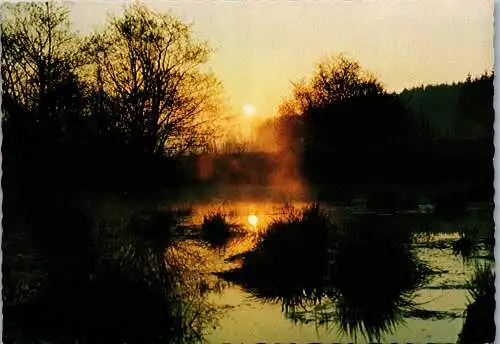 53709 - Oberösterreich - Bad Wimsbach , Maimorgen im Neydhartinger Moor - gelaufen 1982