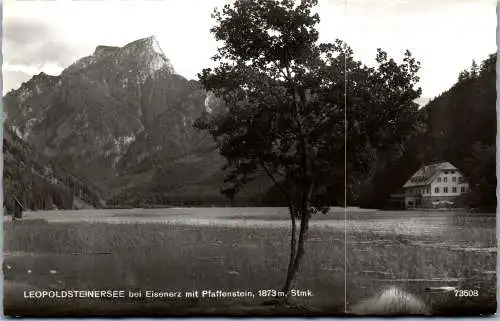 53735 - Steiermark - Eisenerz , Leopoldsteinersee mit Pfaffenstein - gelaufen 1963