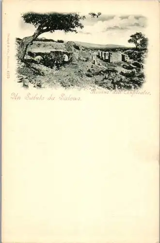 53869 - Kroatien - Salona , Solin , Rovine dell Amfitheatro - nicht gelaufen