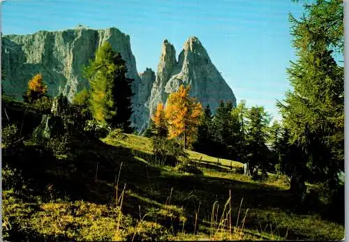 53879 - Italien - Seiser Alm , gegen den Schlern , Alpe di Siusi , Sciliar - gelaufen