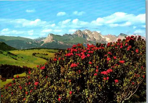 53882 - Italien - Seiser Alm , Alpe di Suisi - nicht gelaufen