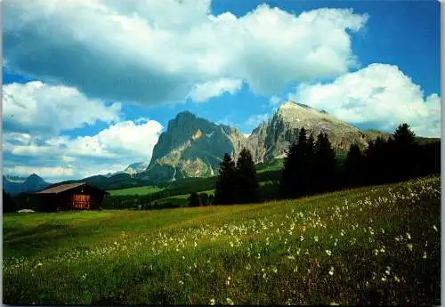 53885 - Italien - Seiser Alm , Sassolungo , Langkofel - nicht gelaufen