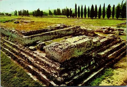 53908 - Italien - Siracusa , Sicilia , Sizilien , Ara di Jerone II - gelaufen 1981