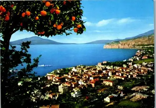 53920 - Italien - Sorrento , Panorama - gelaufen 1965