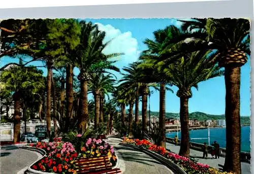 54140 - Italien - San Remo , Riviera dei Fiori , Palmizi sul Lungomare Imperatrice - gelaufen 1960