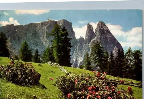 54142 - Italien - Seiseralm , Der Schlern - gelaufen 1965