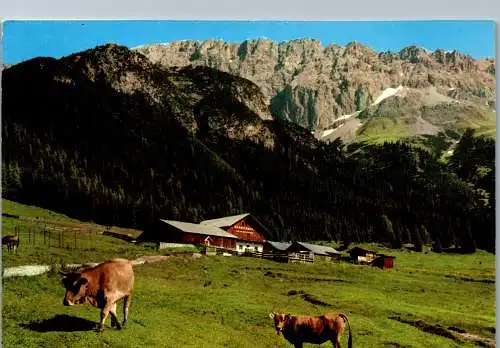 54157 - Tirol - Leutasch , Gaistal , Hämmermoosalpe gegen Teufelsgrat - nicht gelaufen