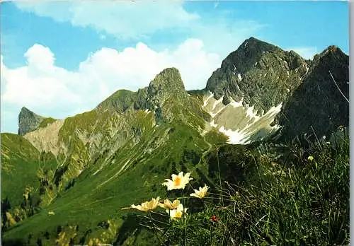 54366 - Vorarlberg - Zitterklapfen , Bregenzerwald , Panorama - gelaufen 1975