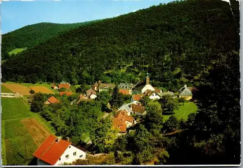 54386 - Niederösterreich - Raisenmarkt , Panorama - gelaufen 1980